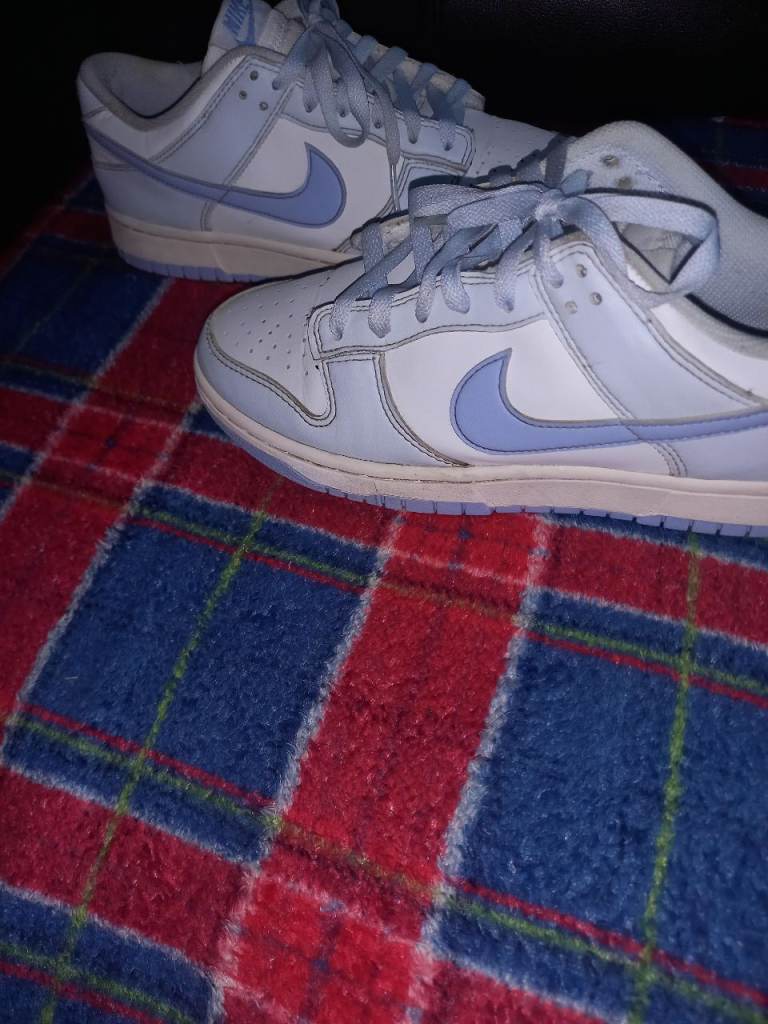 Nike dunks lows 