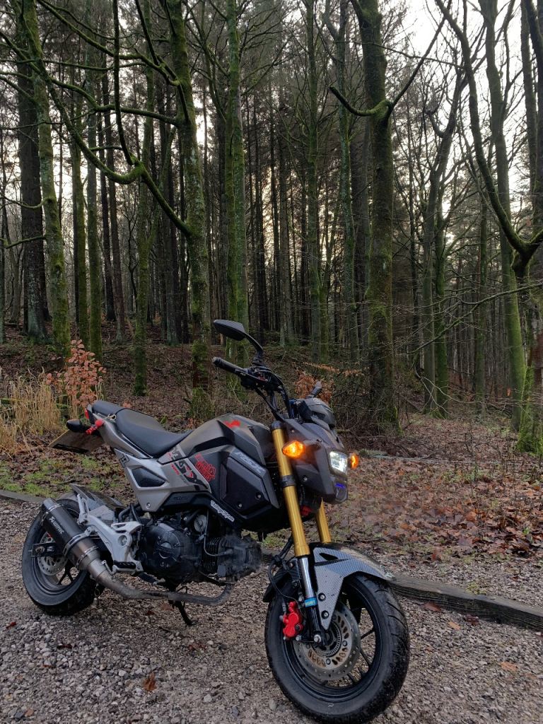 Honda, MSX, 2020, 125 (cc)