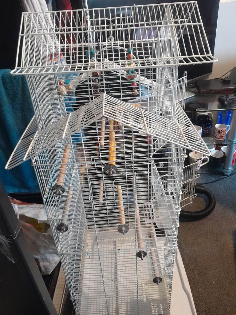 Large/big/tall budgie cage 