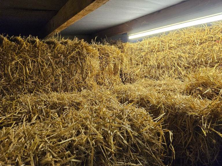 ***SOLD***Small straw bales
