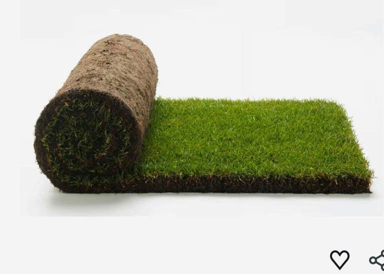 NOW GONE,  THANKYOU FOR YOUR INTERESTFREE  11 rolls of turf