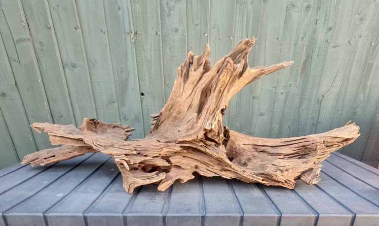 Bog wood for aquarium 