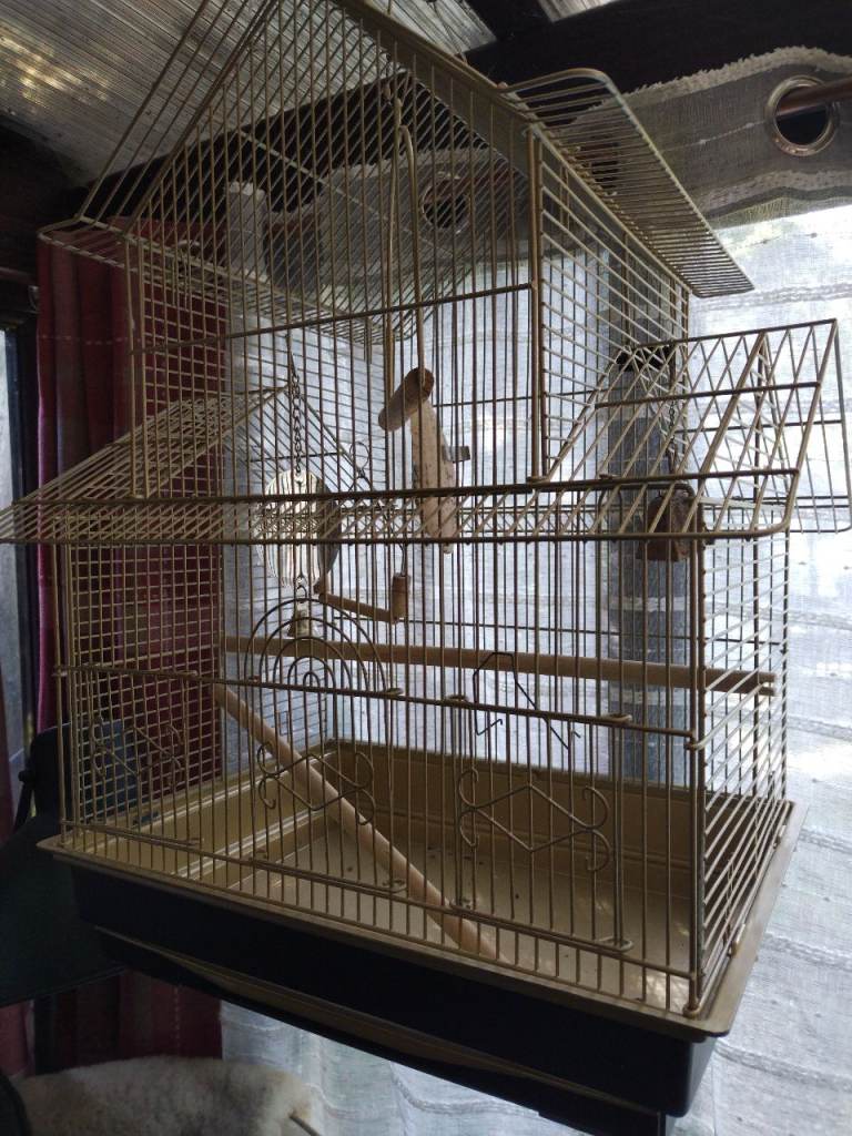 Bird cage, 