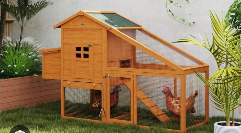 Chicken coop 