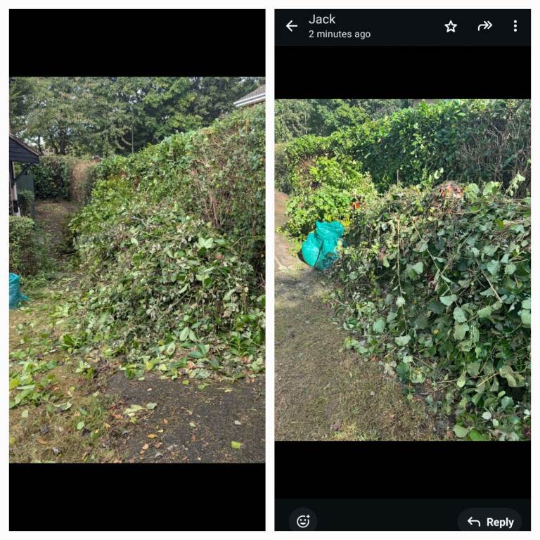 Garden or house 