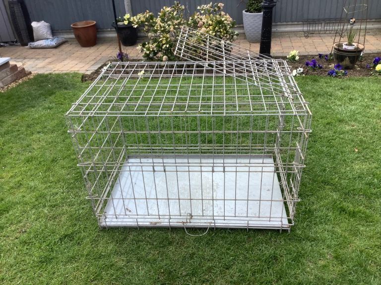 Large foldable dog crate.