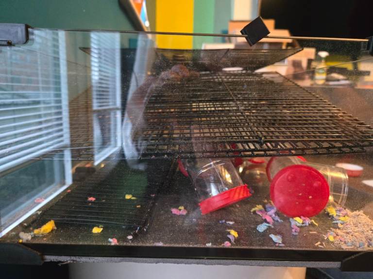 FREE TO COLLECT Small animal cage with glass base