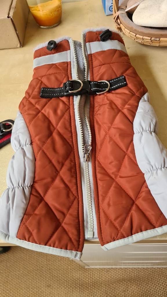 Small Dog or Puppy Bundle - 2 Harnesses, 2 Collars, 1 Quilted Coat Harness