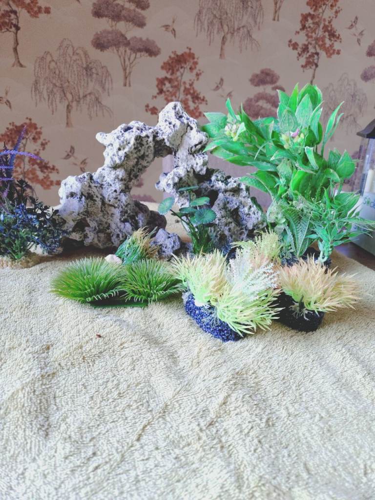 Fish tank accessories 