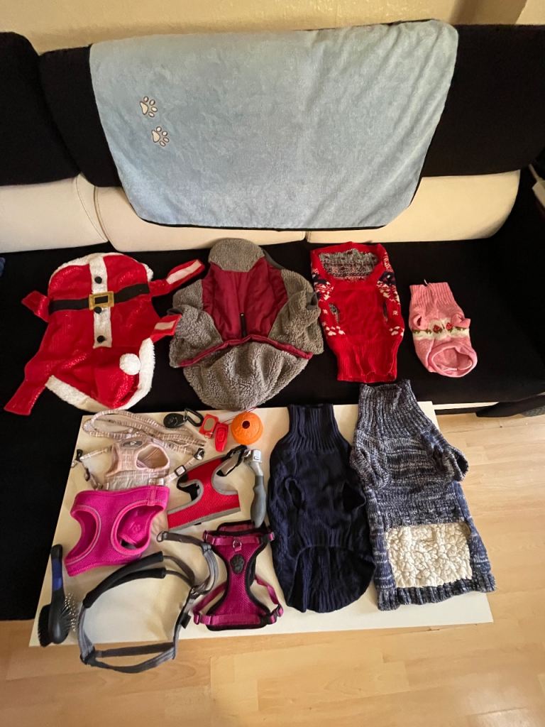Assorted Dog Clothes, Harnesses, and Blanket Bundle