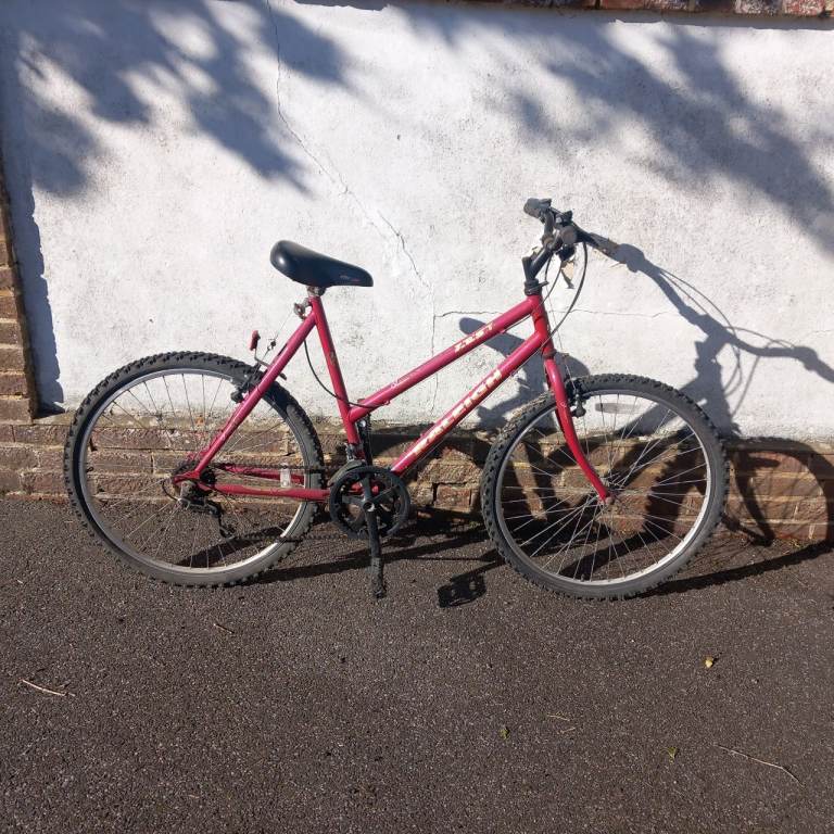 Raleigh Ladies Teen/Adult bike bicycle