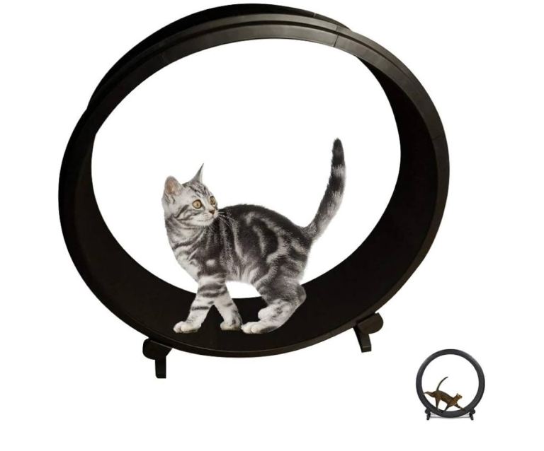 Chenzinan Cat Wheel 11 * 46 * 48 Inches 22 Pounds Recycled Plastic and Closed-cell EVA Foam