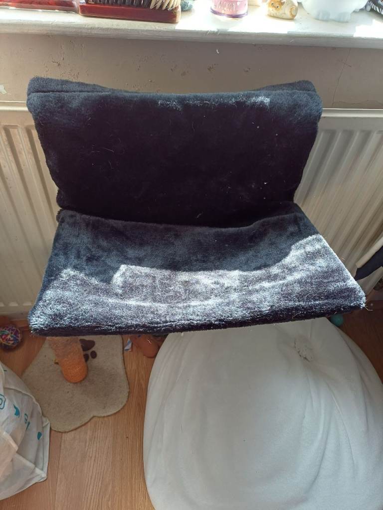 CAT SEAT