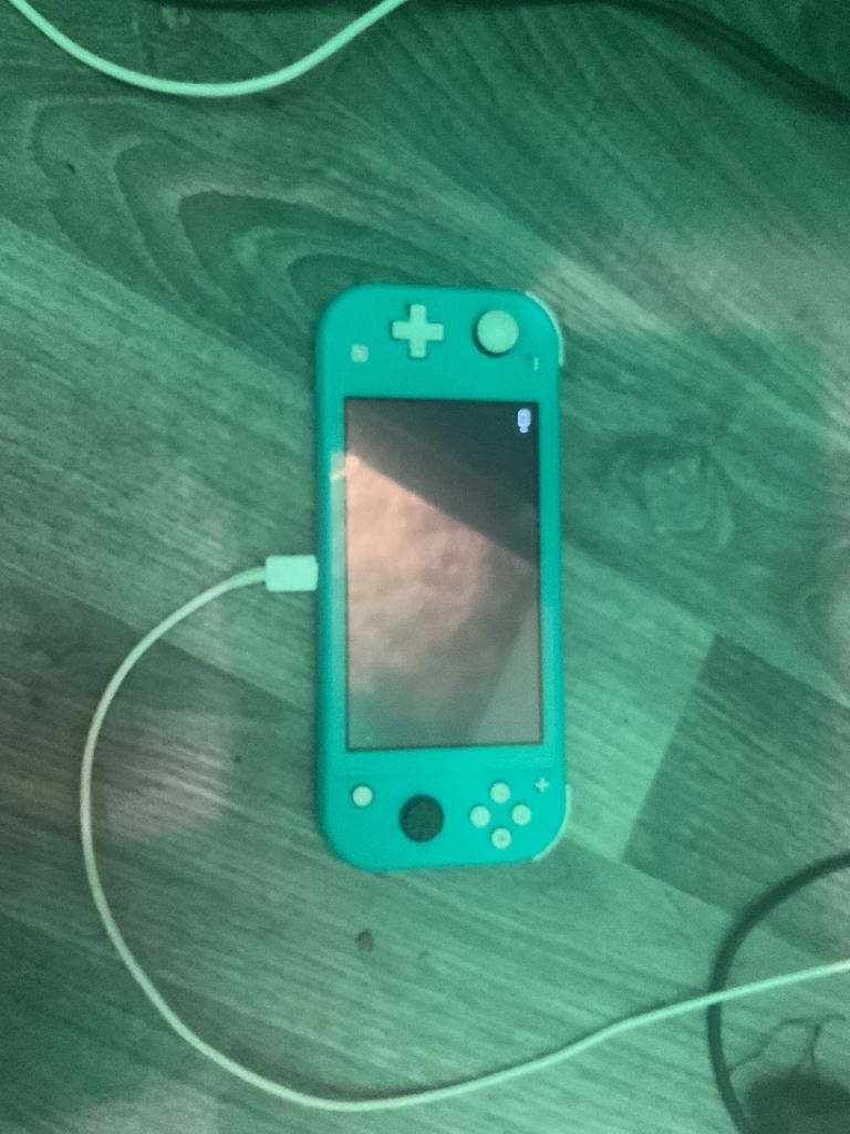 Nintendo switch lite missing thumb cover still working 