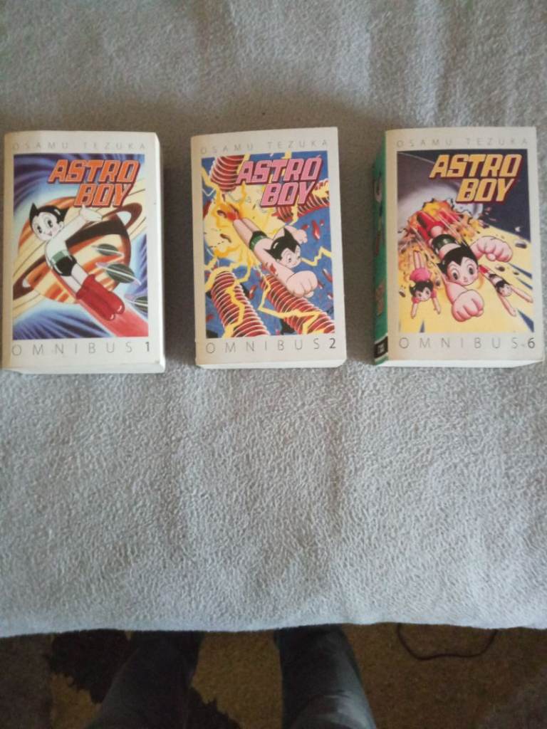 Japanese manga books