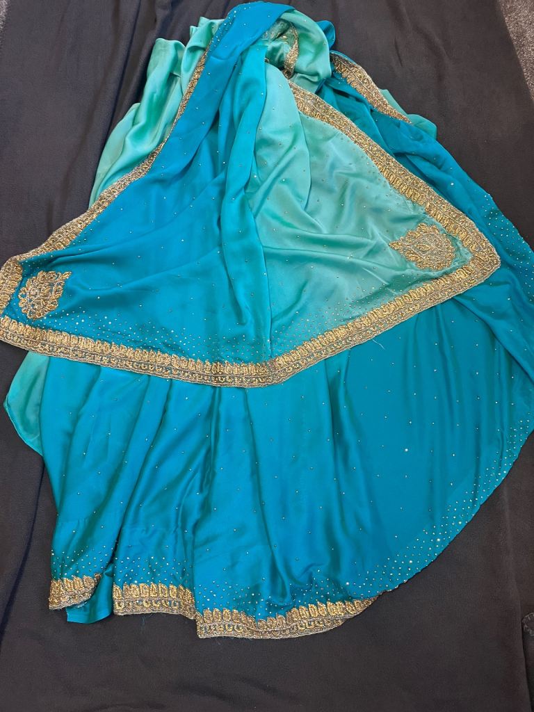 Gorgeous aquamarine saree with exquisite gold detailing with matching blouse 