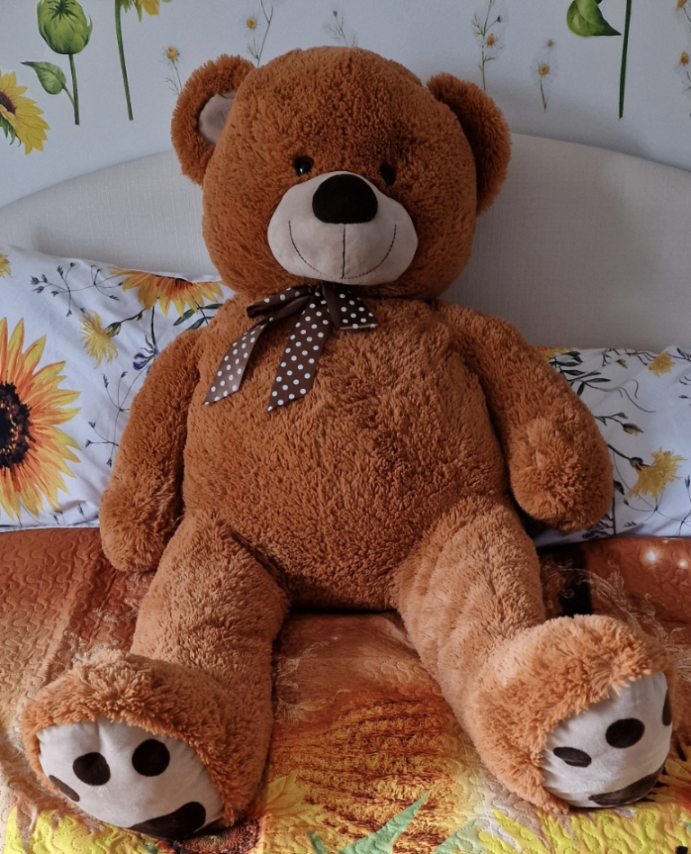 Large/Giant Super Soft and Cute Teddy