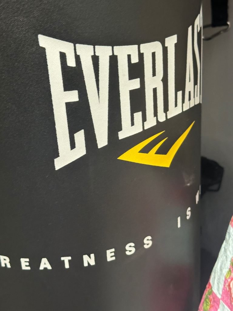 Heavy duty Everlast punch bag