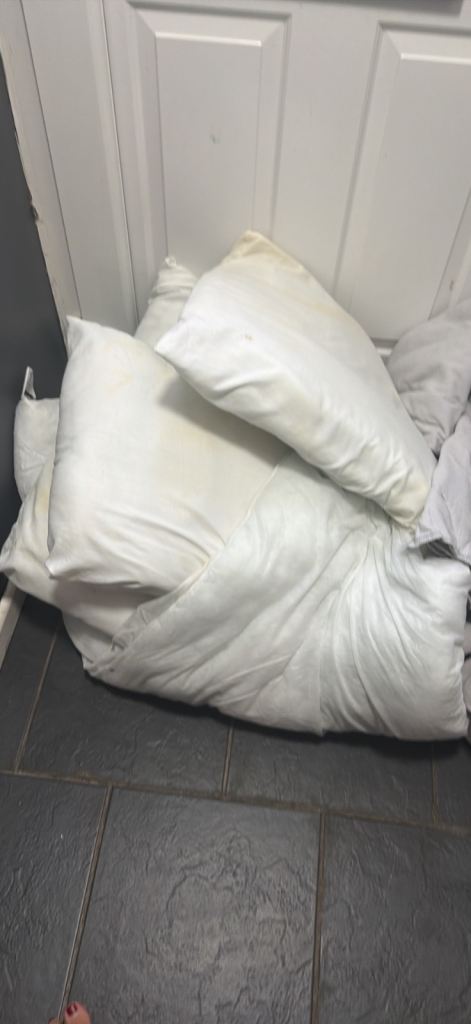 Free single duvet and 4 pillows