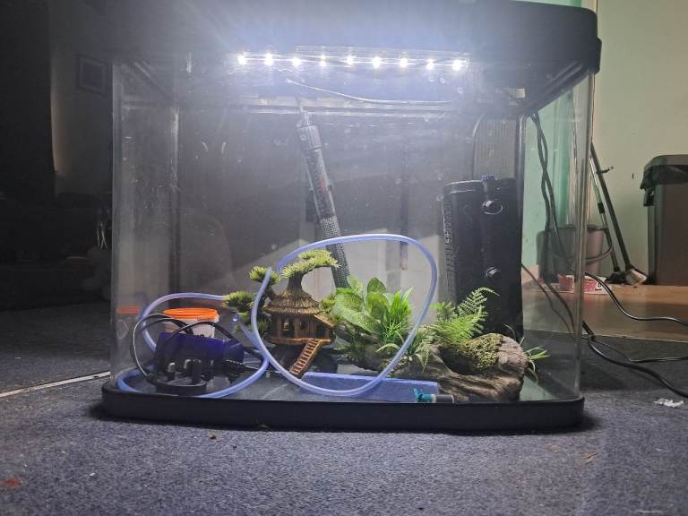 40 litre fish tank