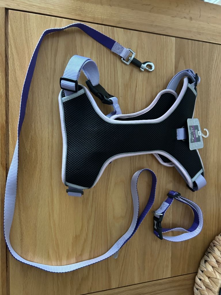 Pets at home matching set of 3 harness