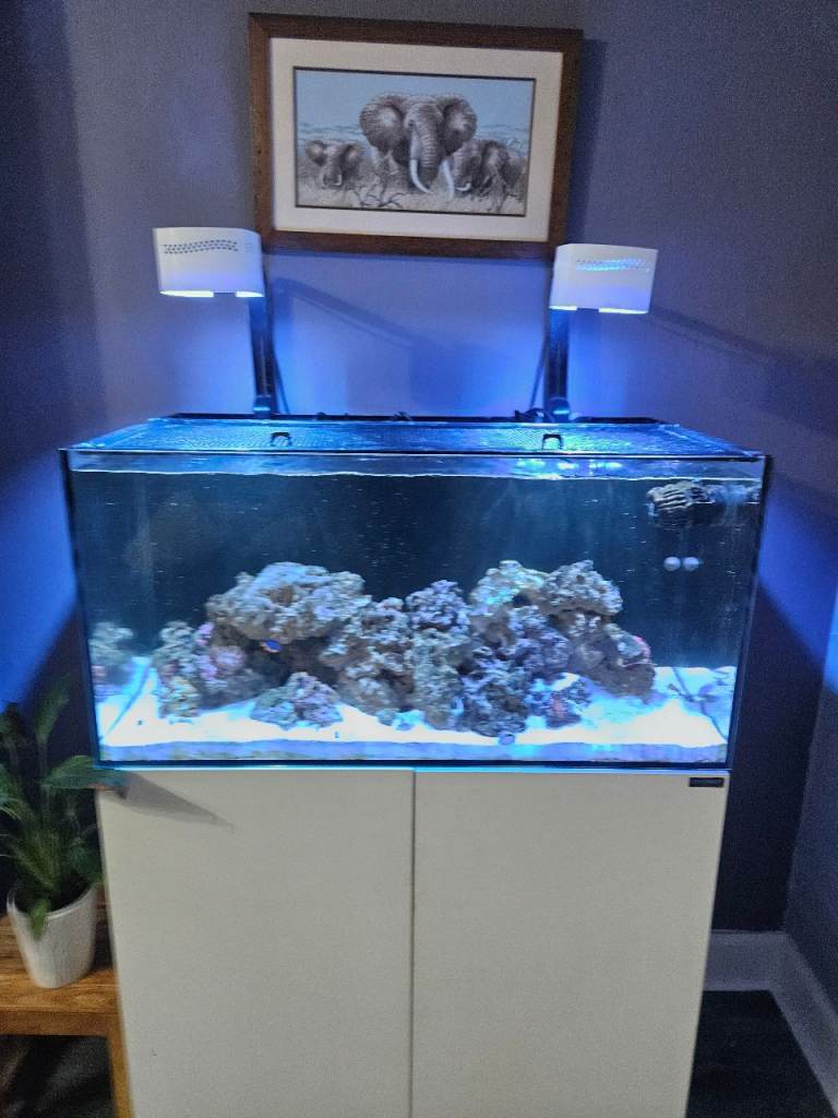 Waterbox AIO   50.3.  marine full setup