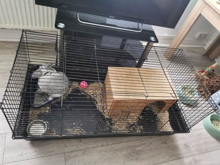  Free cage for rabbits. 