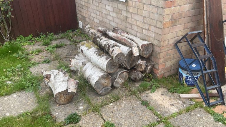 Firewood Logs - Birch, Ready to Burn