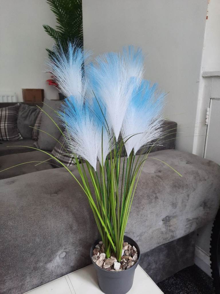 Artificial pampas grass plant (height 55cm).