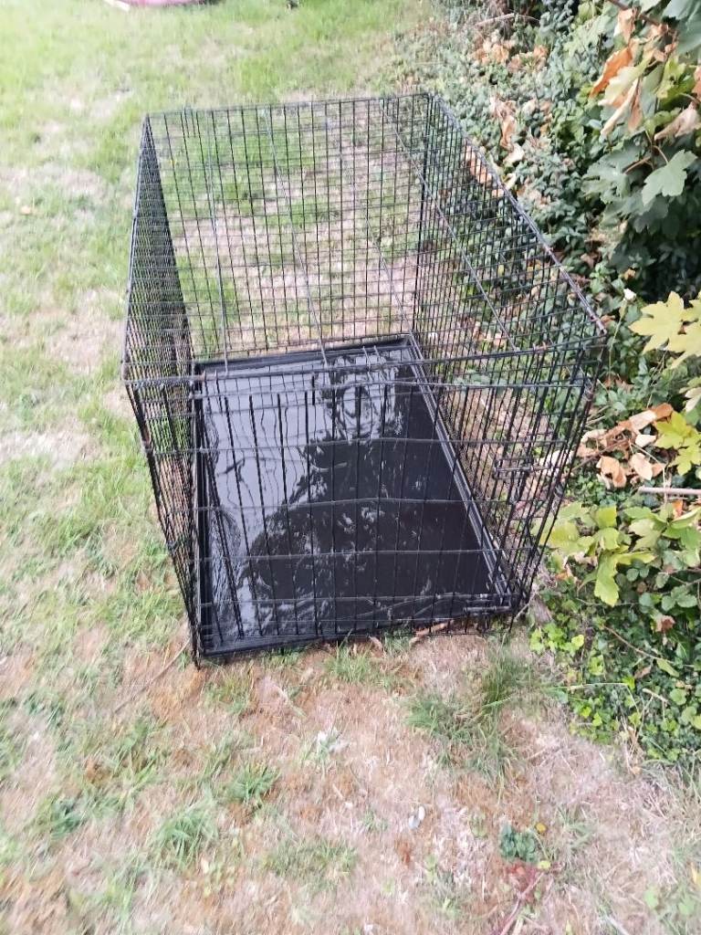 Large Black Metal Folding Dog Crate / Cage – Double Door – Great Condition