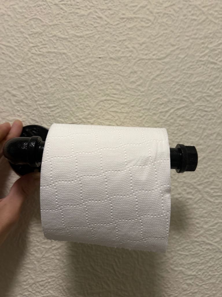 Industrial style toilet roll holder 