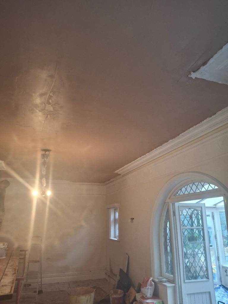 image for Professional plasterer 