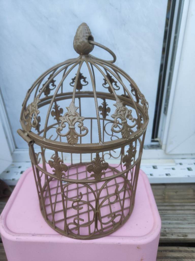 Bird cage 