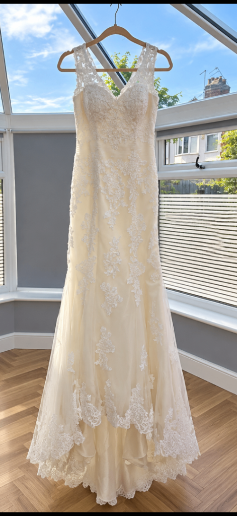 Justin Alexander wedding dress 