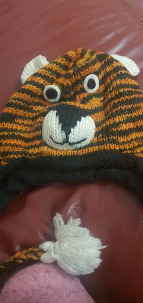 Kids Wool Tiger Hat