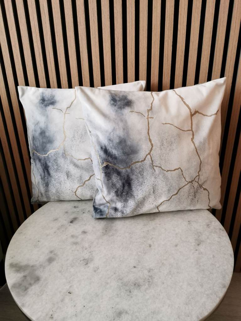 Two Decorative Cushions