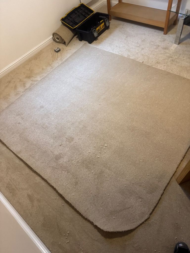 brand new carpet cut off rug
