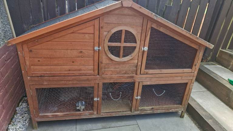 Guinea pig hutch