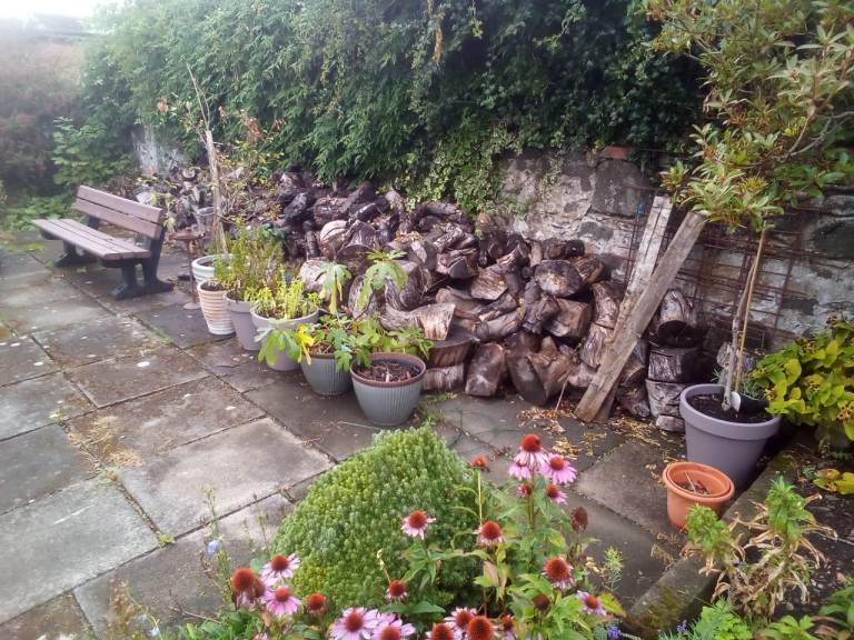 Firewood Logs – Approx 3 Ton, Mostly Seasoned