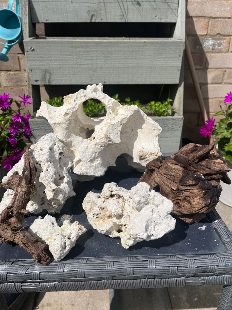 Aquarium decor 
