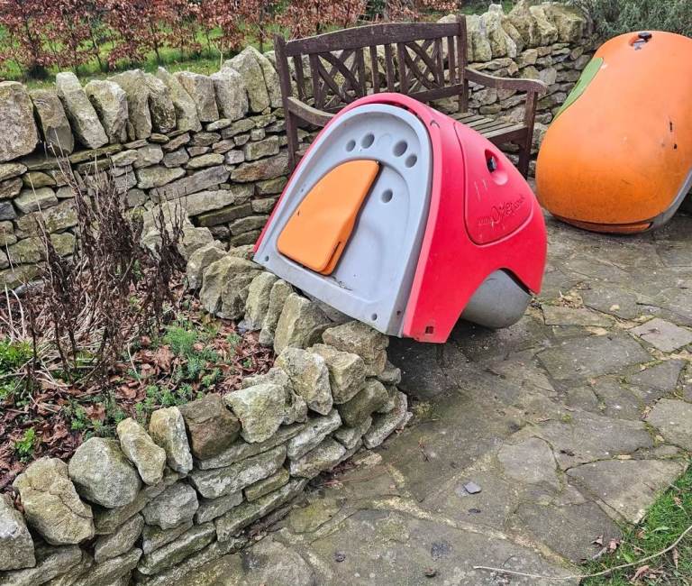 Eglu and Enclosure 