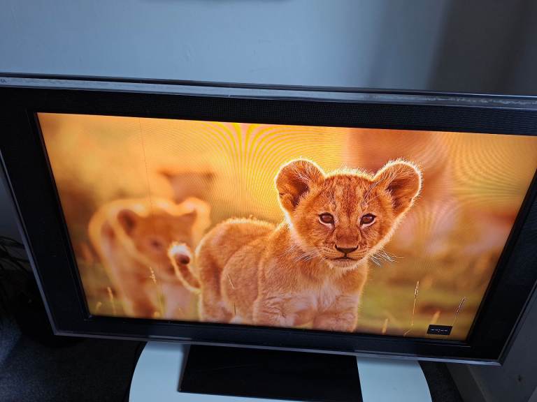 46 inch sony tv with line
