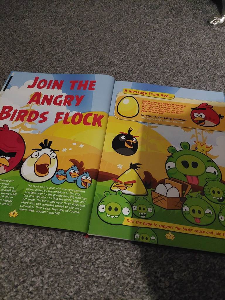 Angry Birds 2013 annual book
