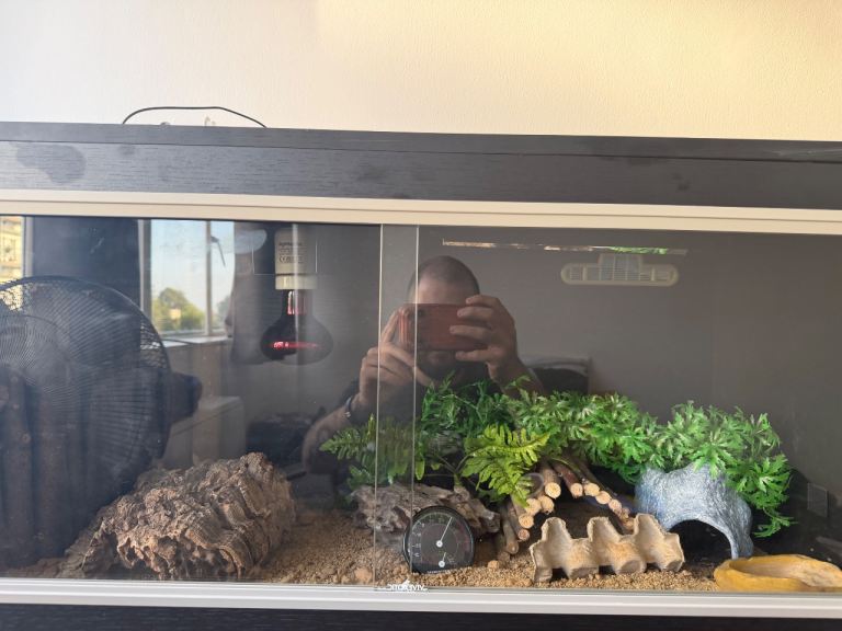 Terrarium 40x40x90