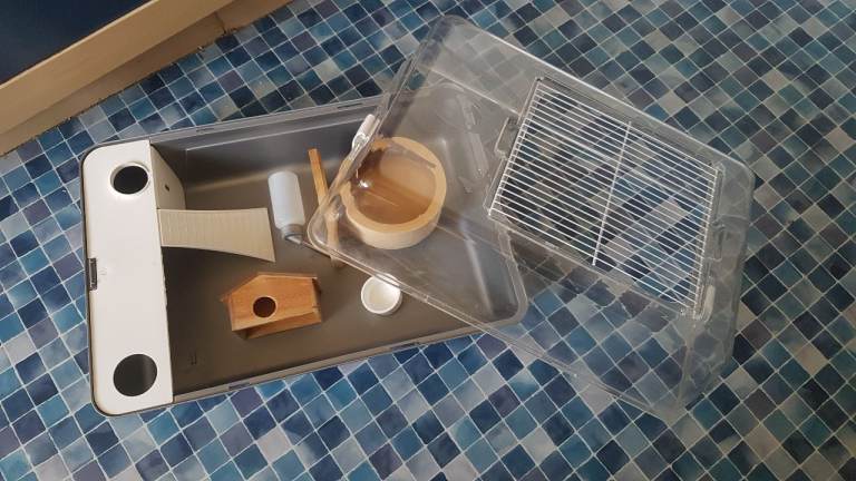 -FREE- Hamster Cage and complements