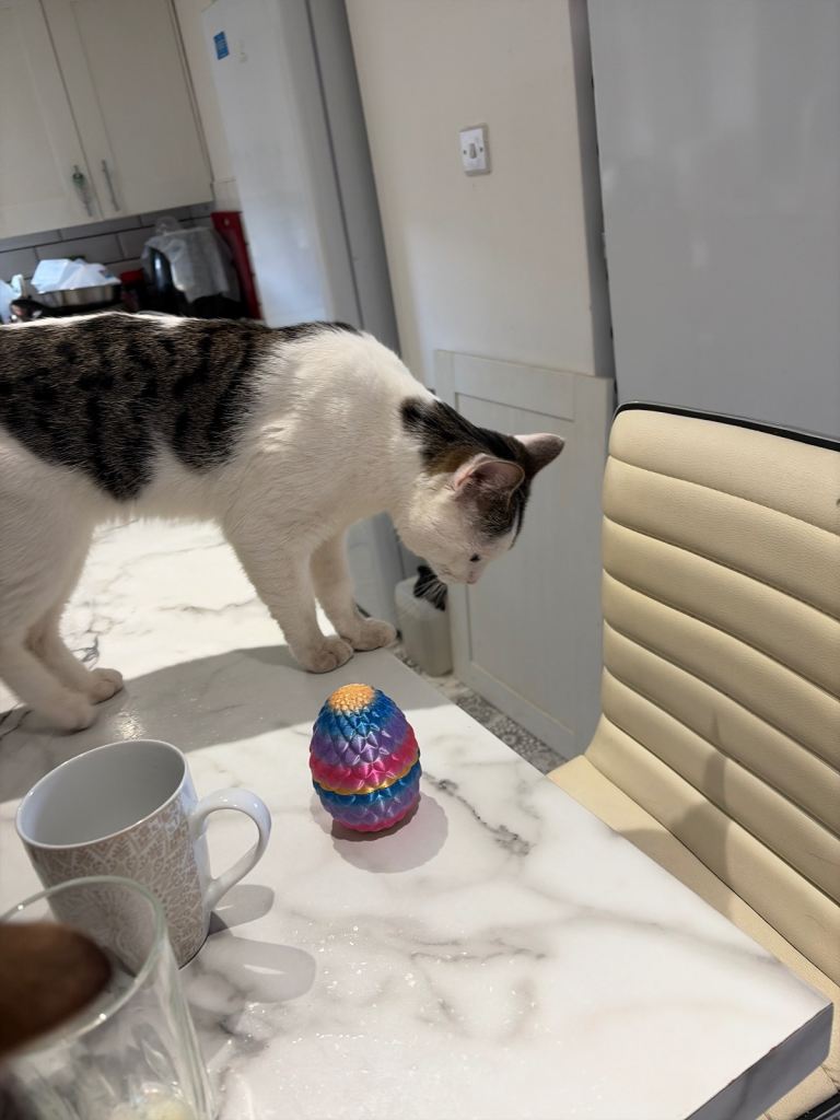 Cats 
