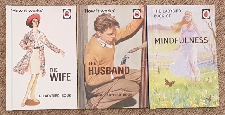 3 'Ladybirds for Grownups' books - adult stocking filler?
