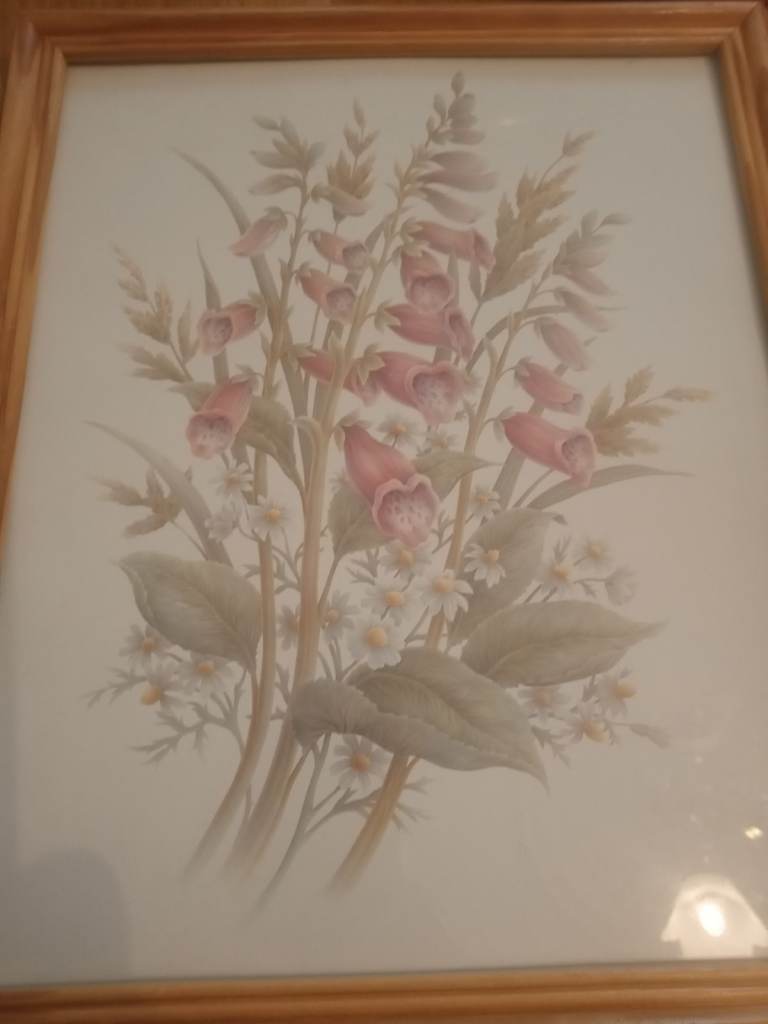 Watercolour prints 