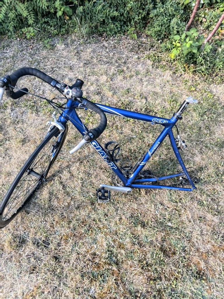 Giant bike frame 