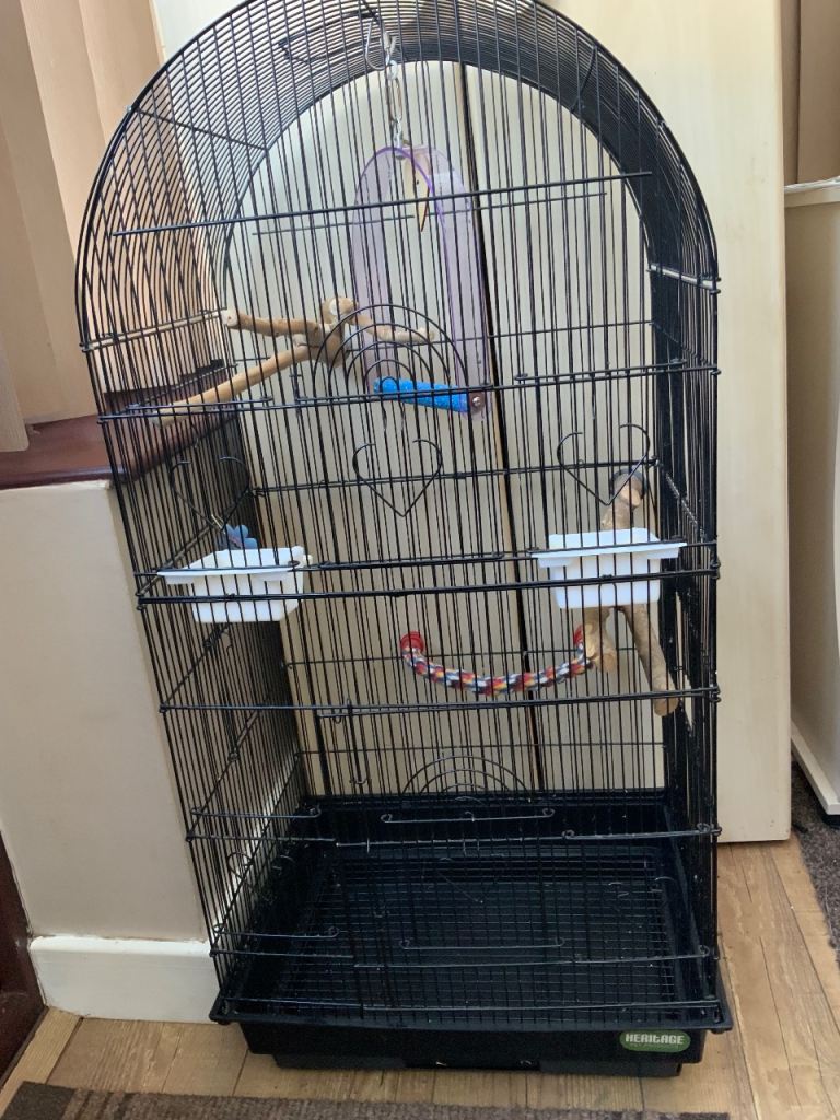 Bird cage